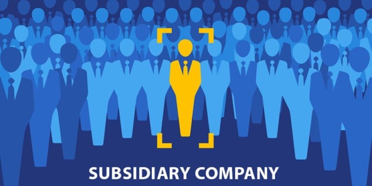 subsidiary company registration - Set-up Subsidiary