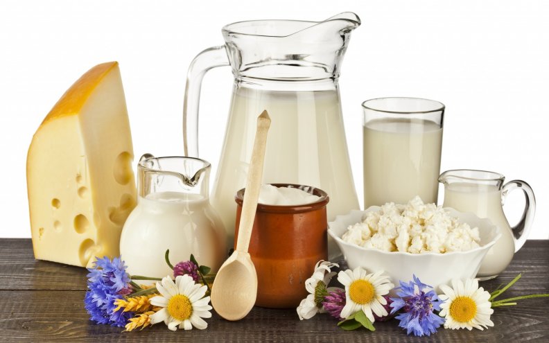 DAIRY - Main Object Of DAIRY