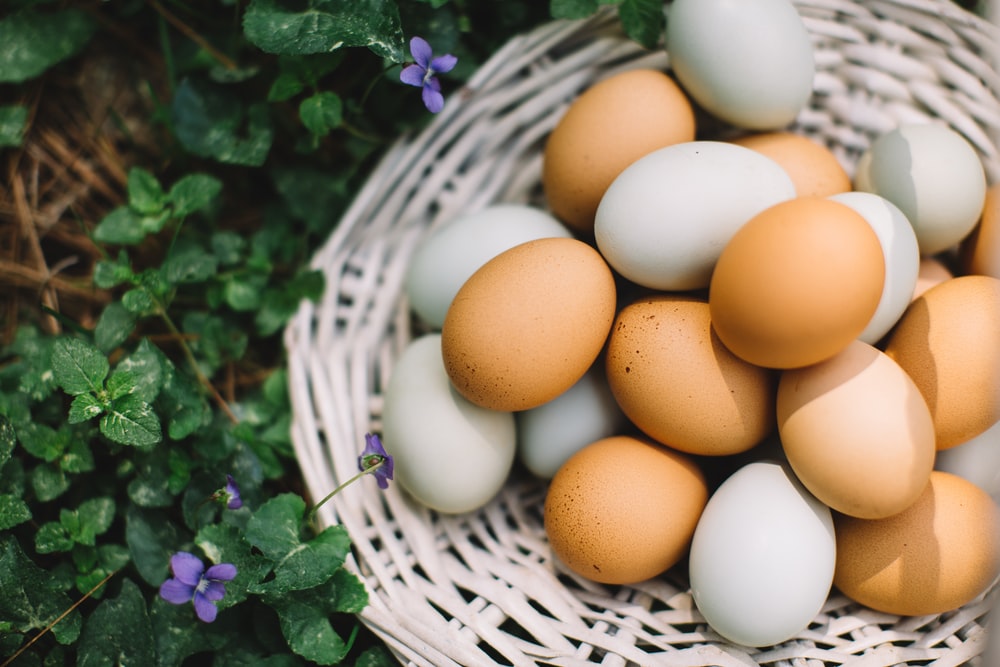 EGGS - Main Object Of EGGS