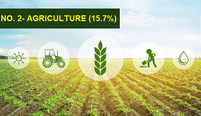 AGRICULTURE INDUSTRY - TOP 10 BUSINESSES IN INDIA AGRICULTURE INDUSTRY