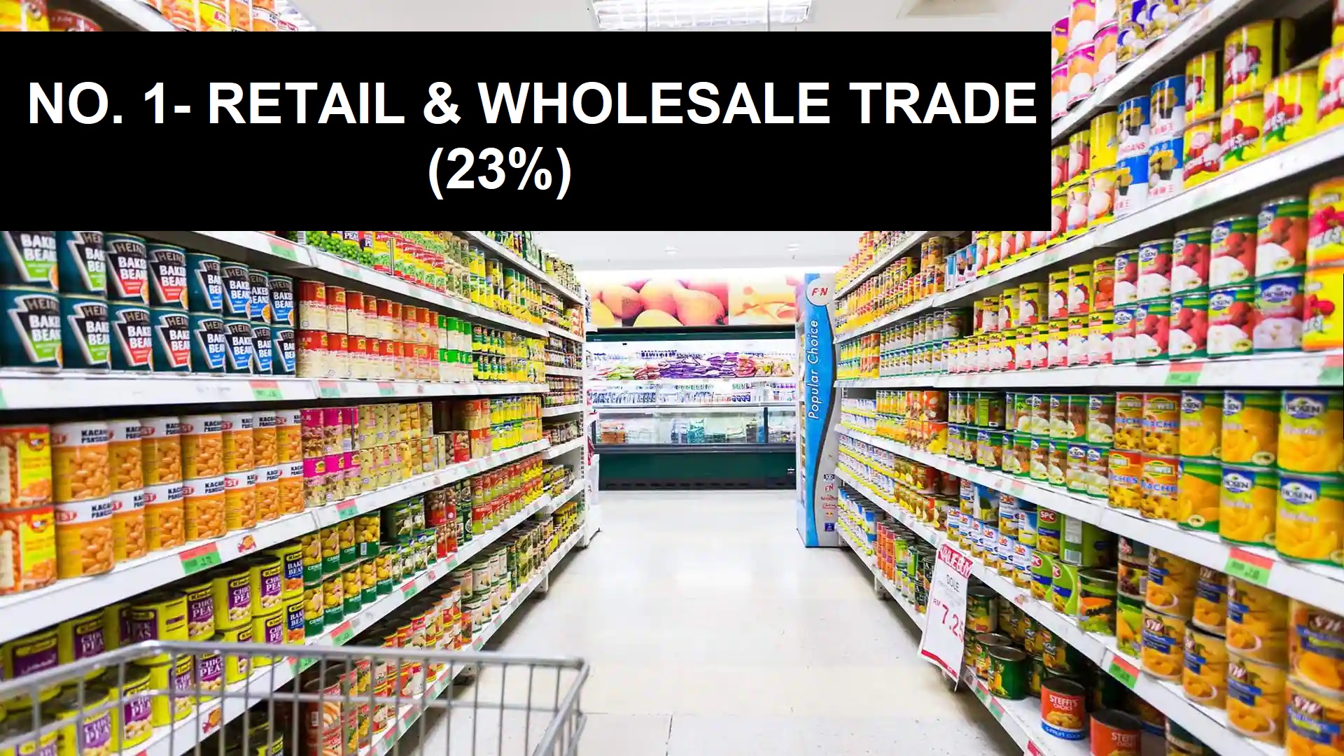 RETAIL WHOLESALE INDUSTRY - TOP 10 BUSINESSES IN INDIA RETAIL & WHOLESALE INDUSTRY